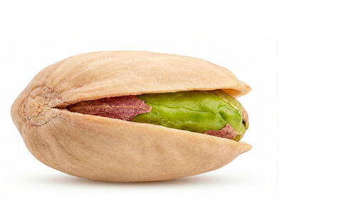 Cultivo de Pistachos